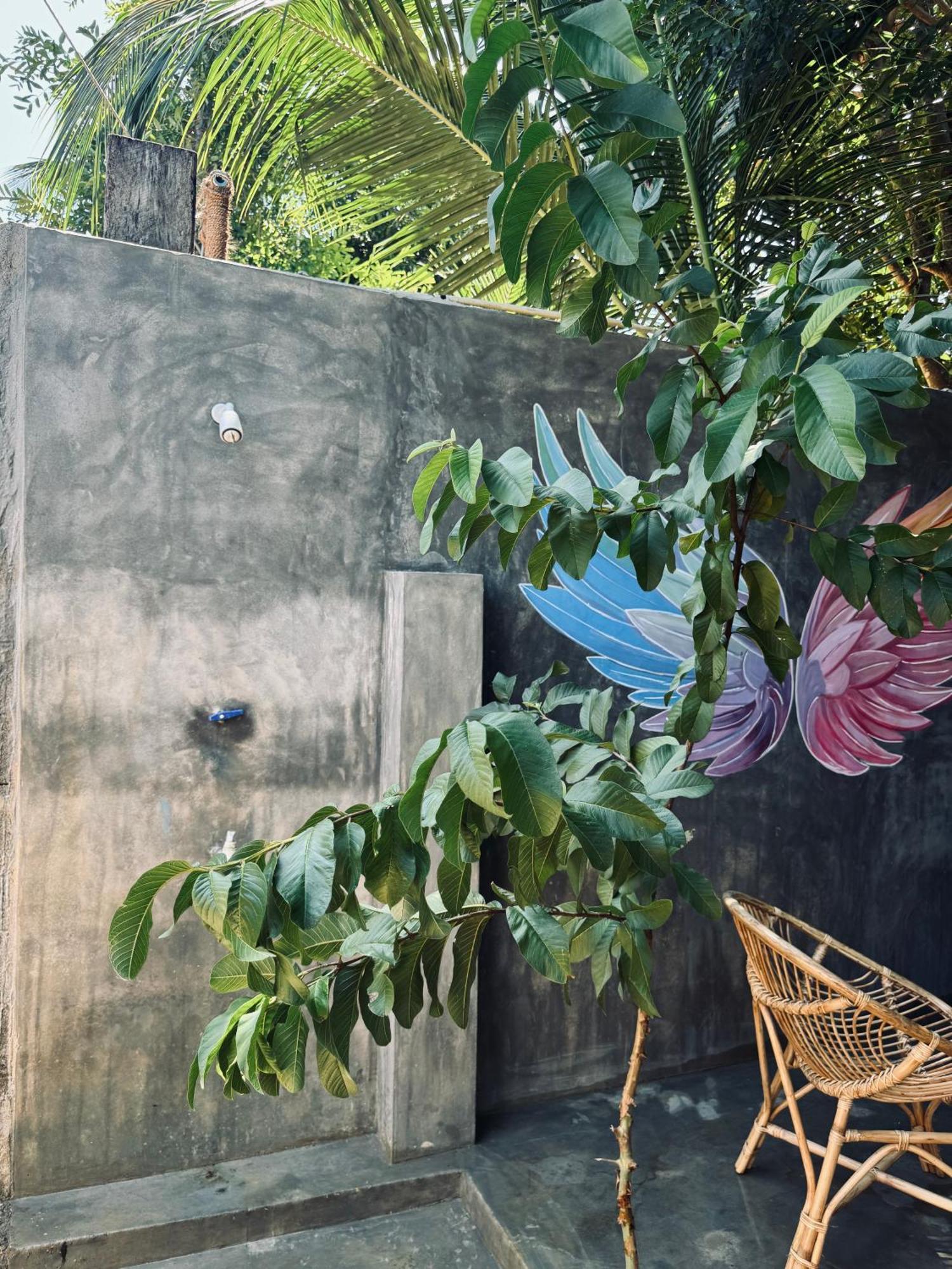 Dreamy Hostel Arugambay 阿鲁甘湾 外观 照片