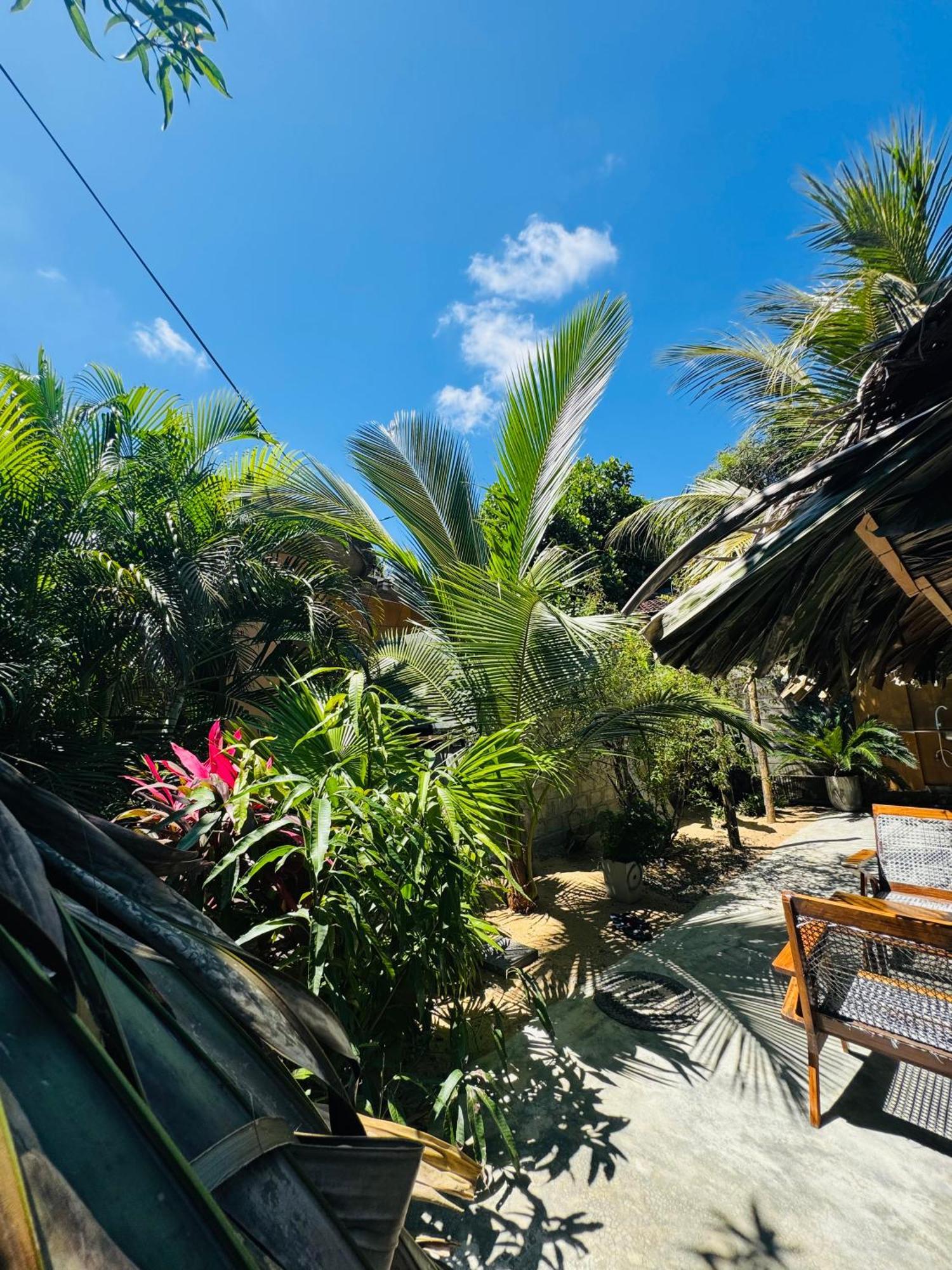 Dreamy Hostel Arugambay 阿鲁甘湾 外观 照片
