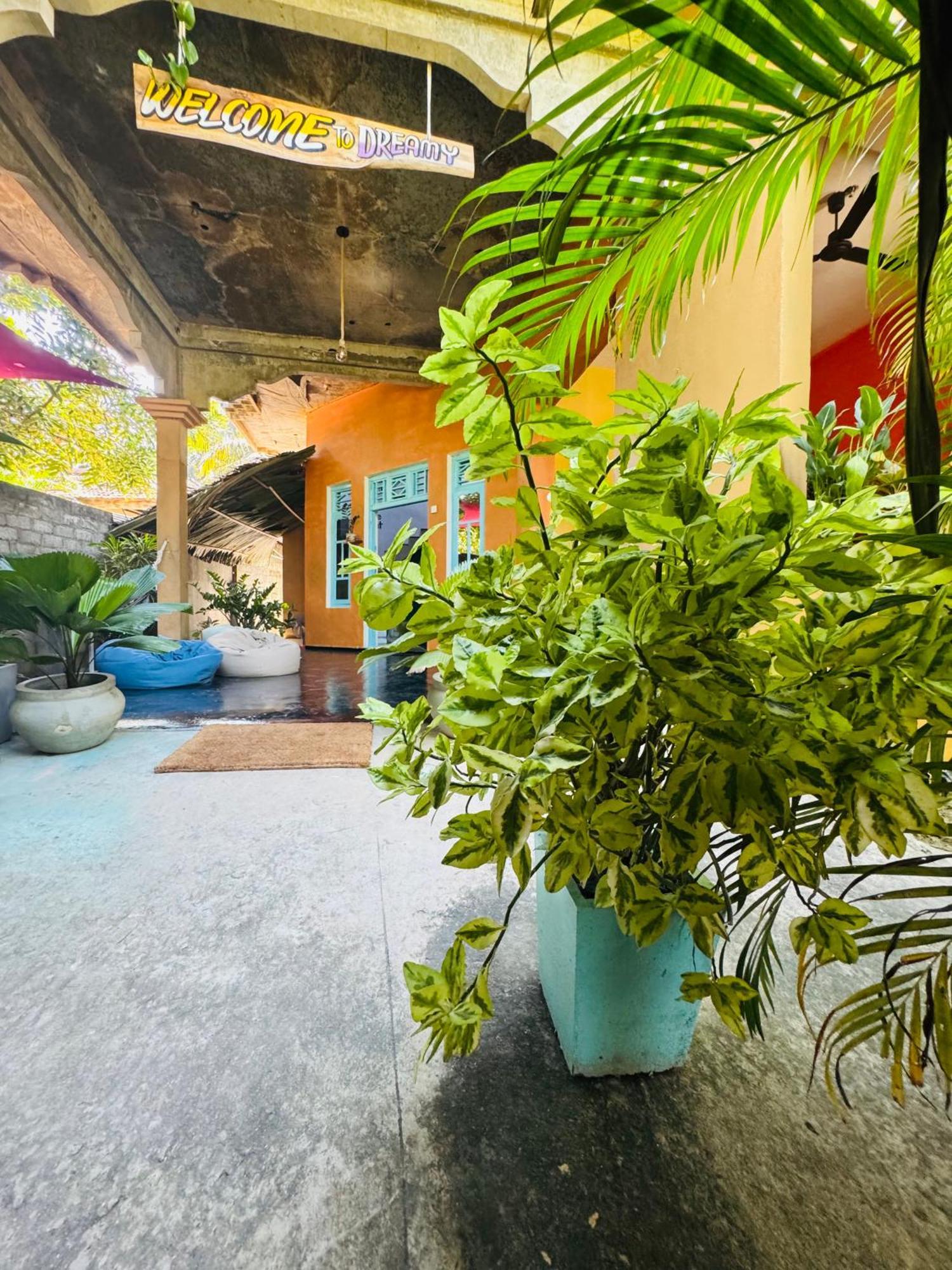 Dreamy Hostel Arugambay 阿鲁甘湾 外观 照片