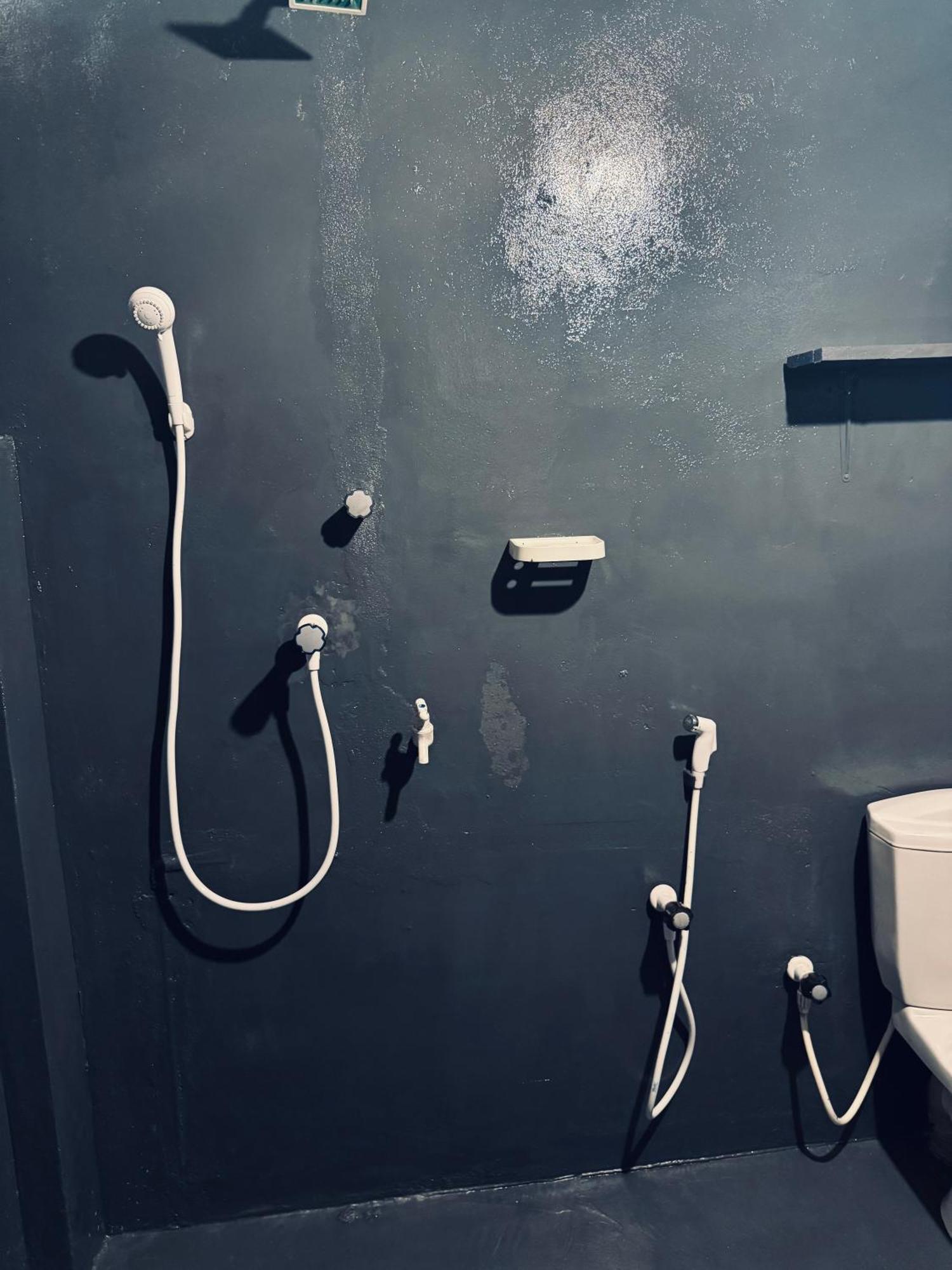 Dreamy Hostel Arugambay 阿鲁甘湾 外观 照片